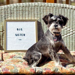 Meet your Posher, Astrid